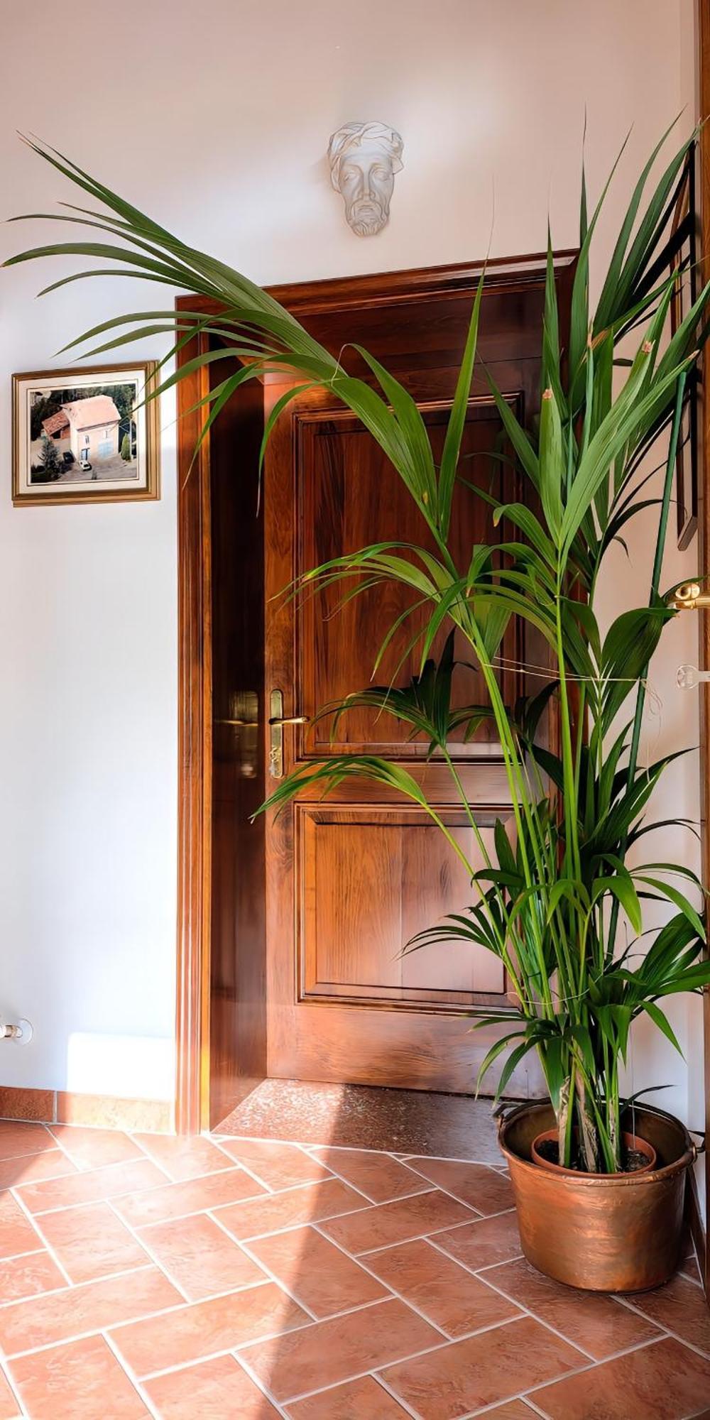 Casa Due Marie Marano Sul Panaro Hotel Bagian luar foto